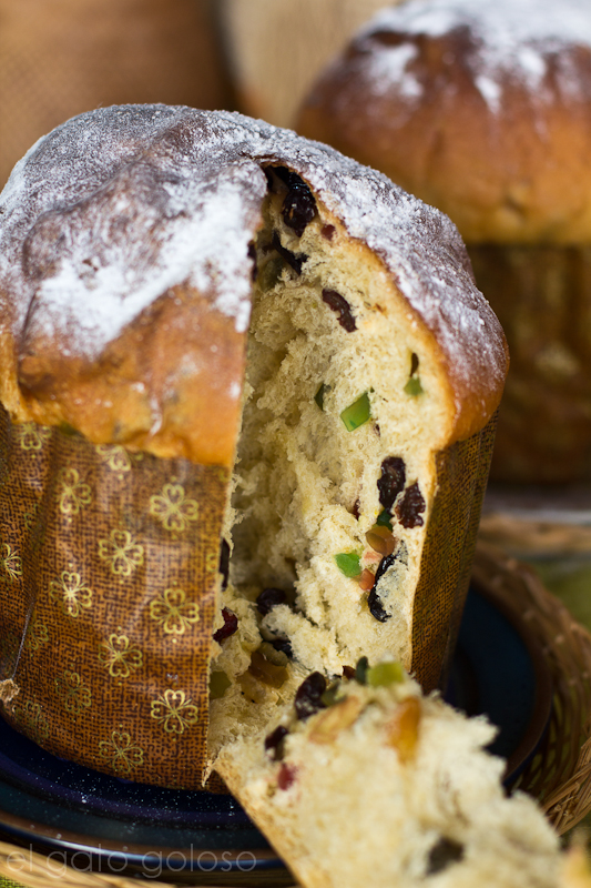 El gato goloso: Panettone