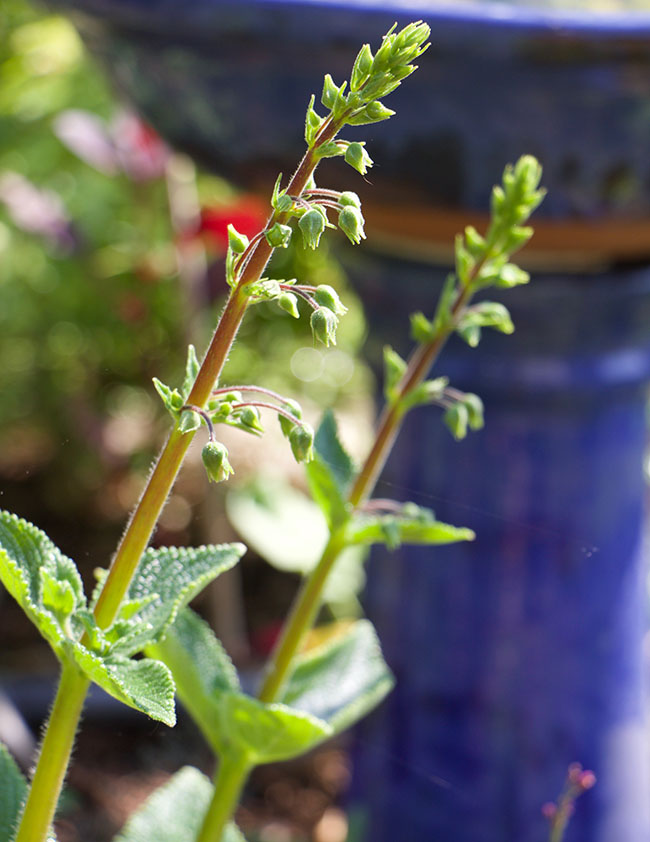 End Of The Month Favorites September