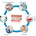 Làm răng sứ Cercon – Răng sứ thẩm mỹ cao cấp