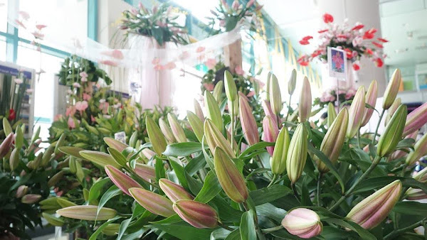 員林火車站百合花卉產業形象展示 為花農行銷推廣花卉