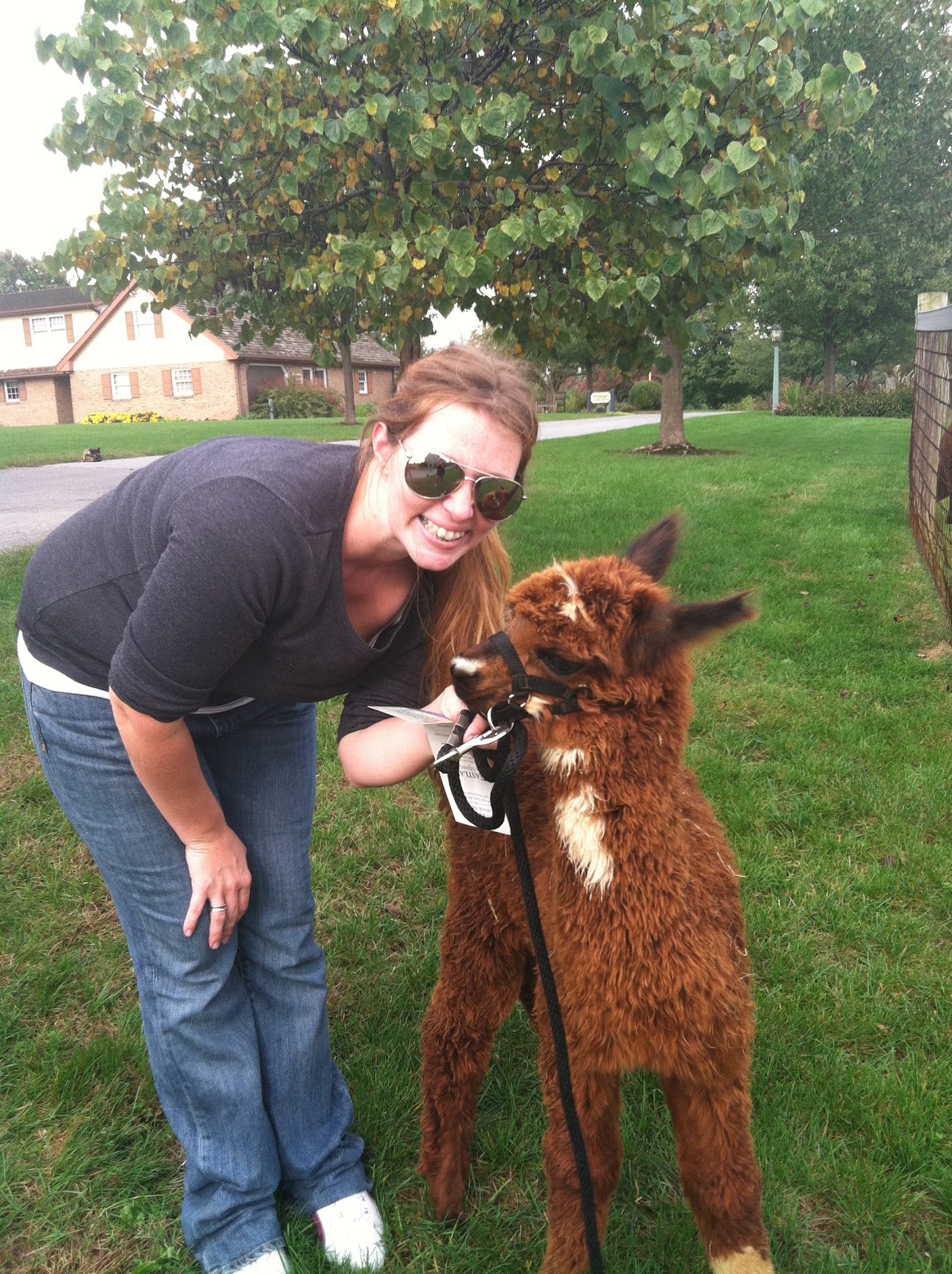 The Ultimate Life List LIFE LIST ALPACA FARM