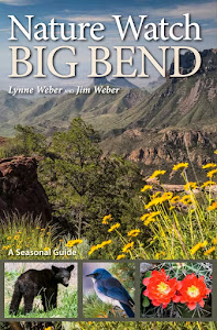 Nature Watch Big Bend