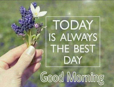 Top 50 Good Morning Quotes to Start the fresh Day Top 50 Good Morning Quotes to Start the fresh Day
