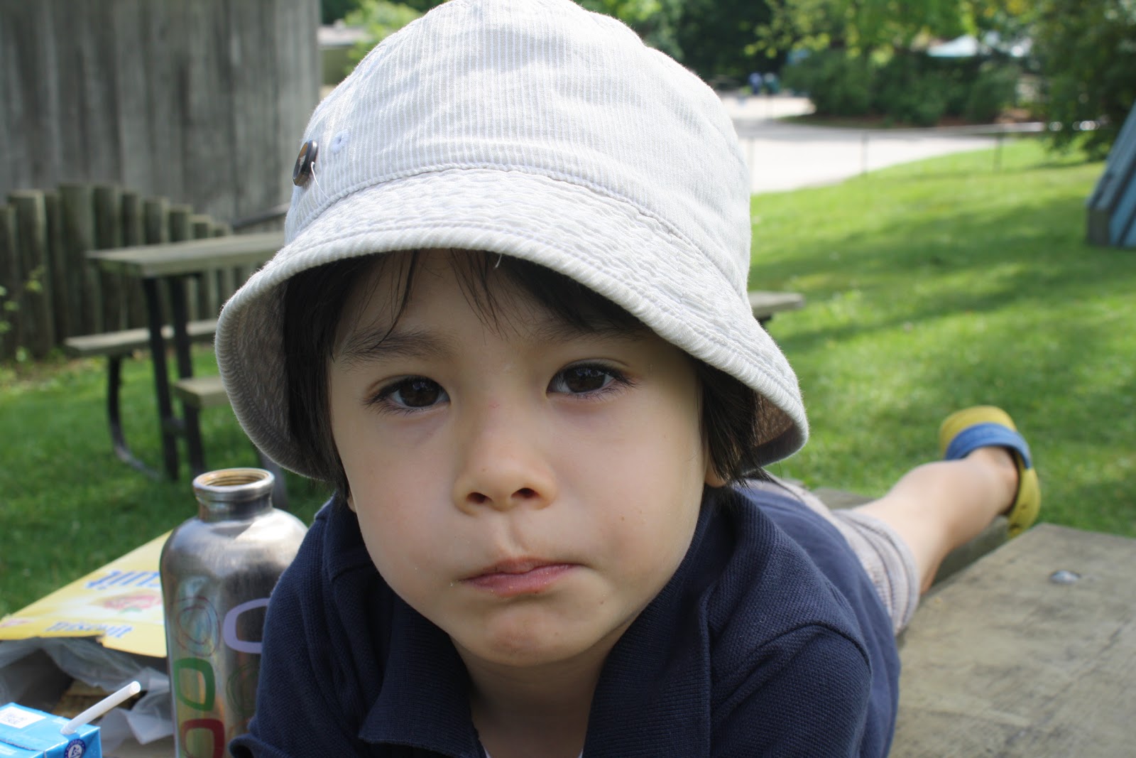 パイナップルが成長するのにどれくらい時間がかかりますか - パイナップルが成長するのにどれくらい時間がかかりますか