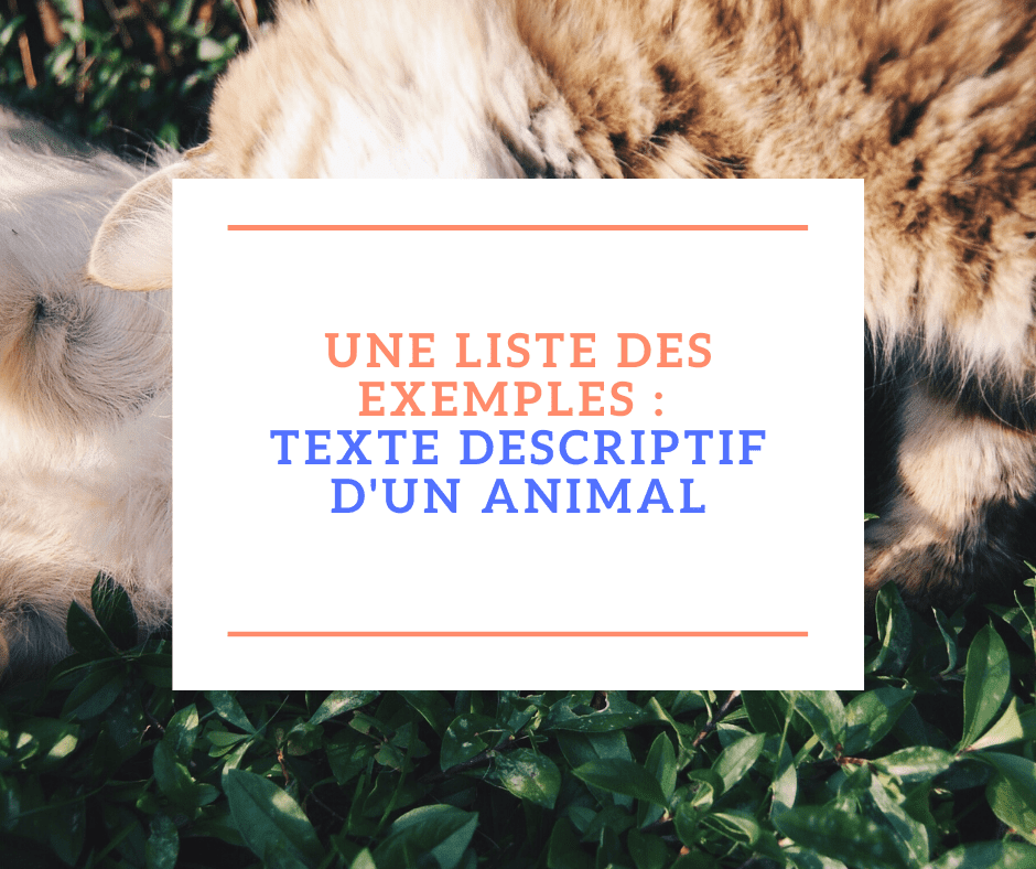 Une liste des exemples  texte descriptif d'un animal