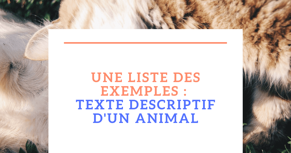 Une liste des exemples  texte descriptif d'un animal
