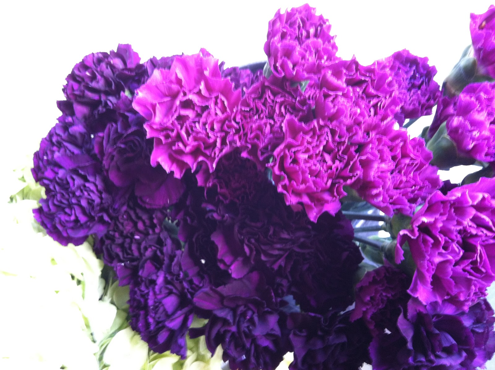 Download April 15 flowers and color palette | Juniper Flowers