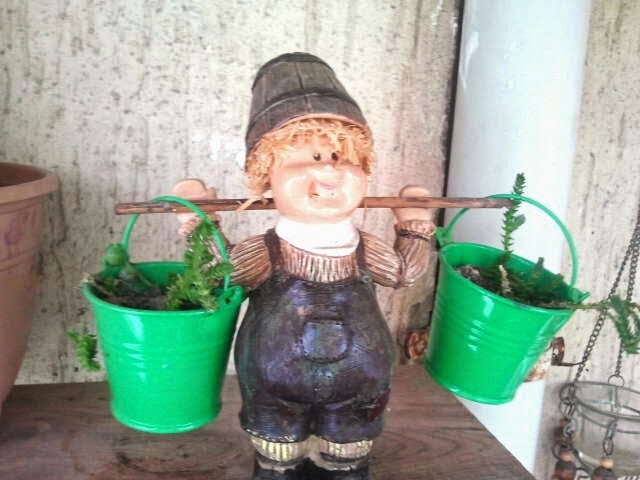 Sukulent,sedum,kaktüs... Sukulent,Sedum,Kaktüs…