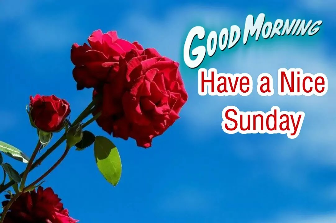 50 Beautiful Good Morning Happy Sunday Images Pictures Photos For Whatsapp