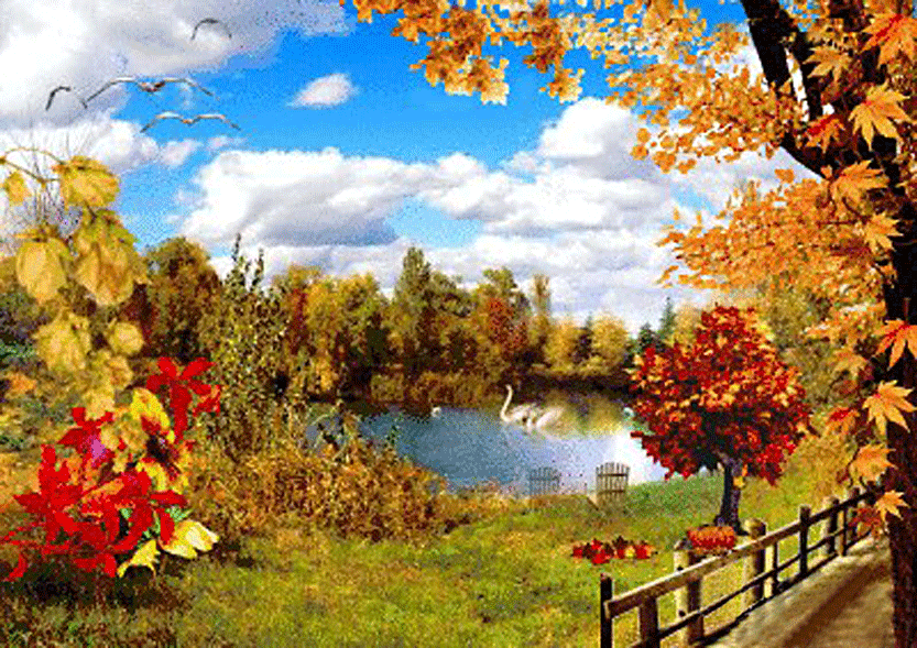 Куз 2. Осенний пейзаж. Осенняя природа для детей. Природа осень листопад. Живые пейзажи.