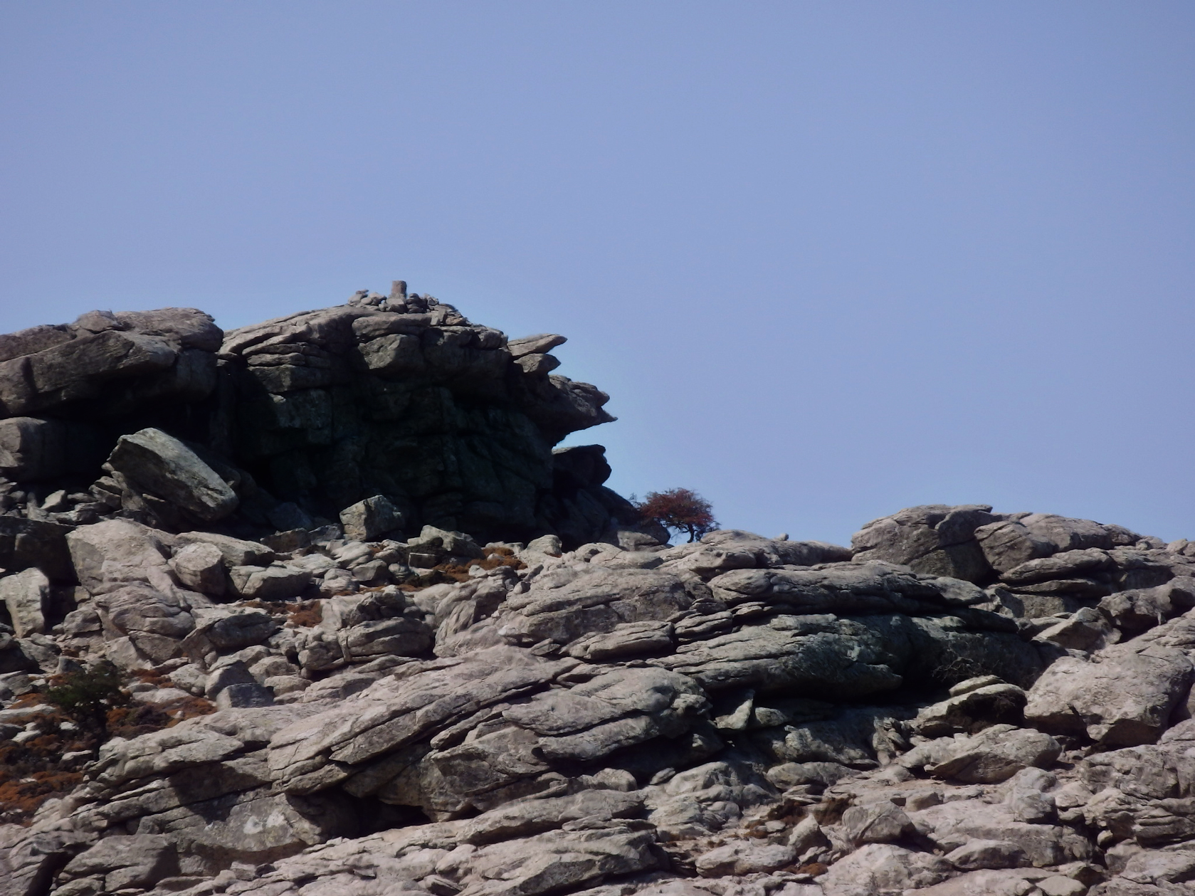 Κορυφή «Προβατοκεφάλα». Στο σχήμα που έχουν οι βράχοι, κάποιοι από μας διέκριναν τον λόγο της ονομασίας