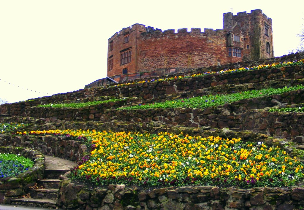 Staffordshire Photo Tamworth flowers