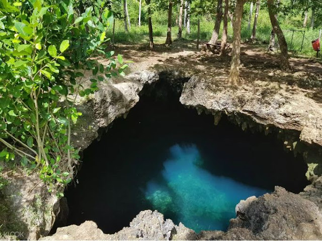 TOP THINGS TO DO IN BOHOL TOURIST SPOTS