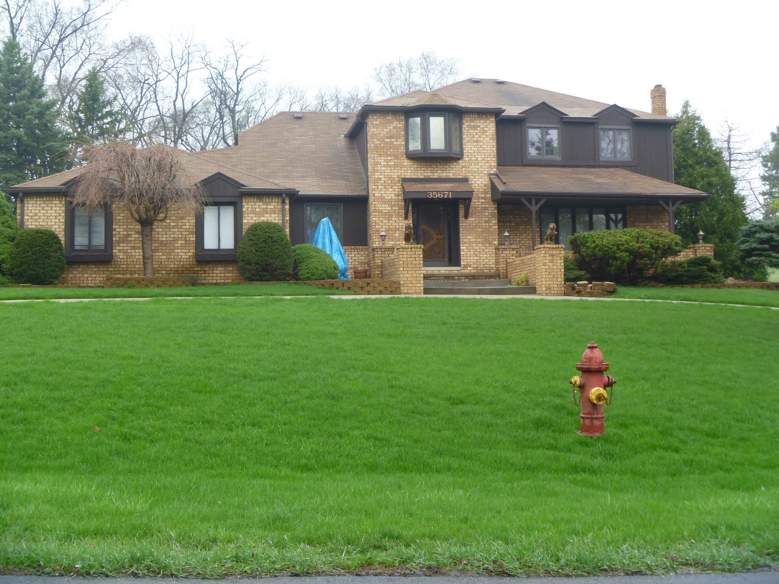 Homes for Sale in Farmington Hills MI Blog Subdivision Forestbrook