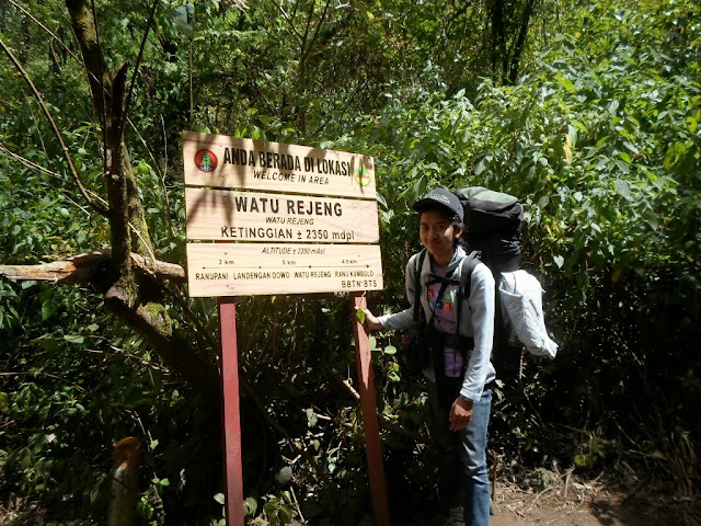 Pendakian Gunung Semeru via Ranu Pane