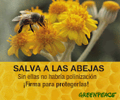 nuestras abejas en peligro