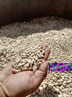 Rajma dal Harsil harsil valley uttarakhand distance from dehradun in hindi