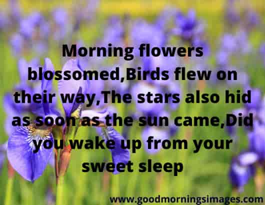 Good Morning Shayri With Images For Friend Good Morning Shayri With Images For Friend