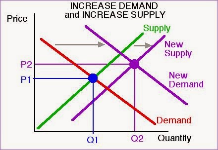 PepsiCo - Individual Weblog Assignment: January 2014