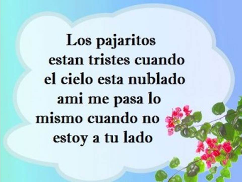 Los pajaritos estan tristes cuando el cielo esta nublado ami me pasa lo