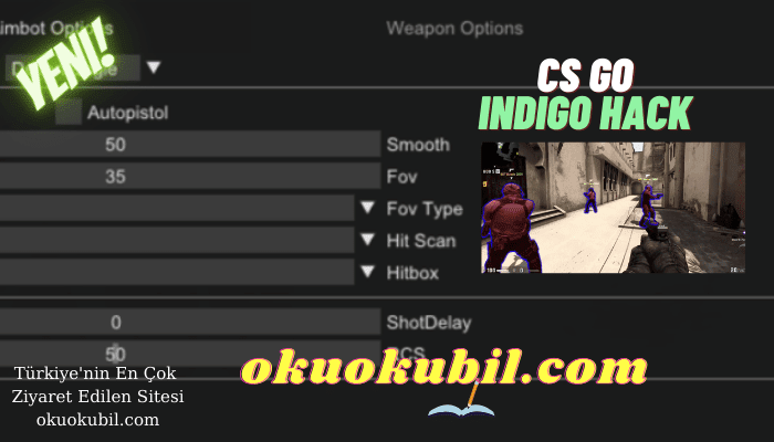 CS GO Indigo v4.5.1 LegitBot, Skins, Visuals Hileli İndir 2021