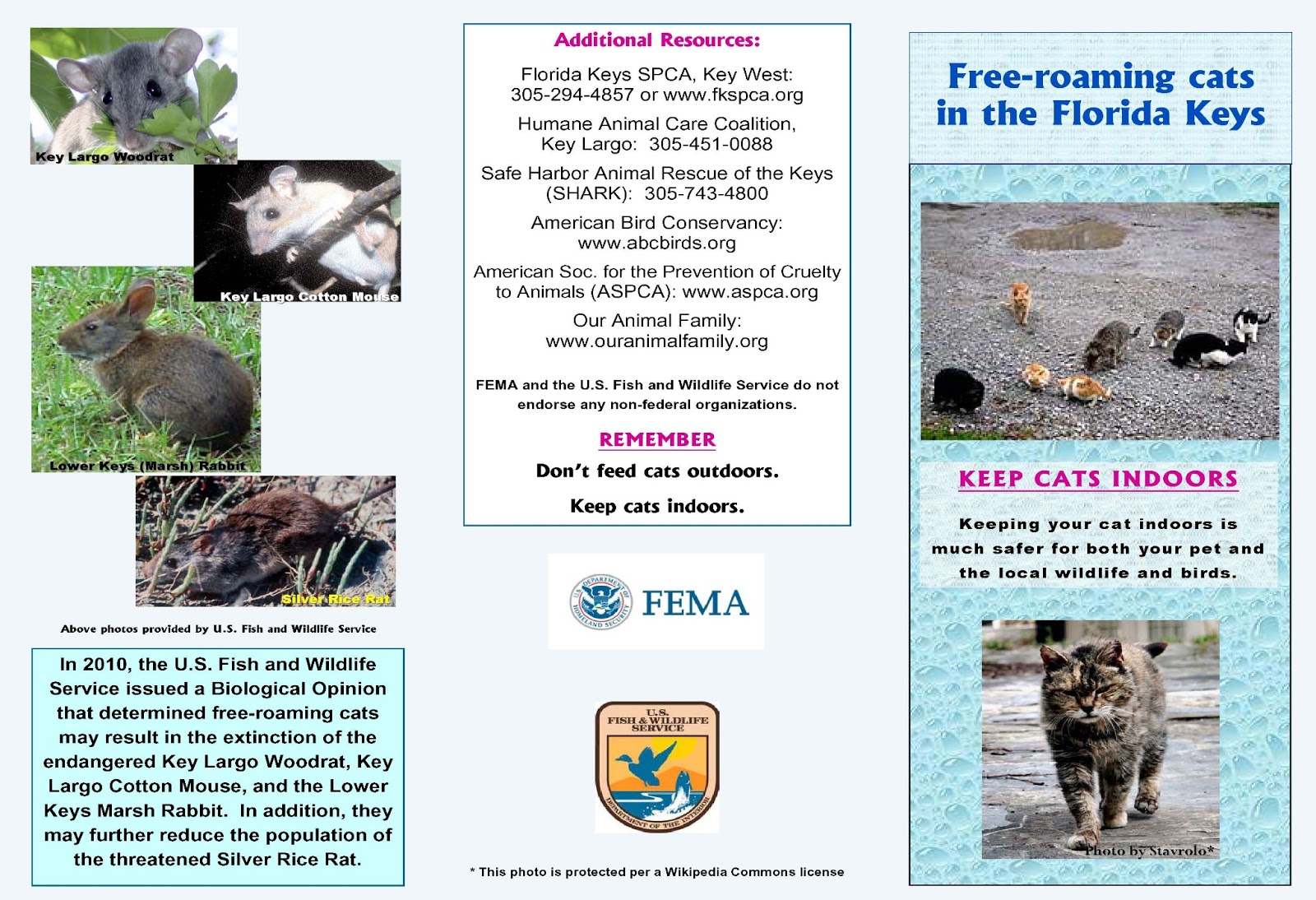 Stray pets Conservation in Florida Keys campaign
