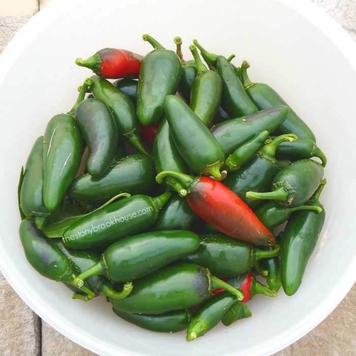 Canning Jalapeños The Stonybrook House