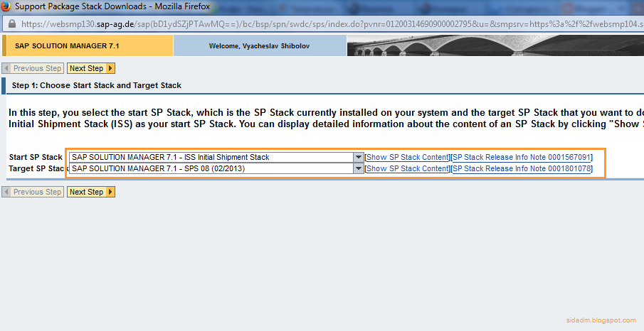 Stek automotive. Sap пакеты.