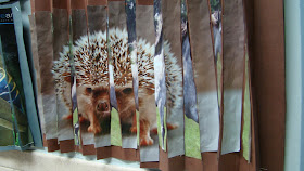 Artistic Thoughts: 6th Grade Art Activities