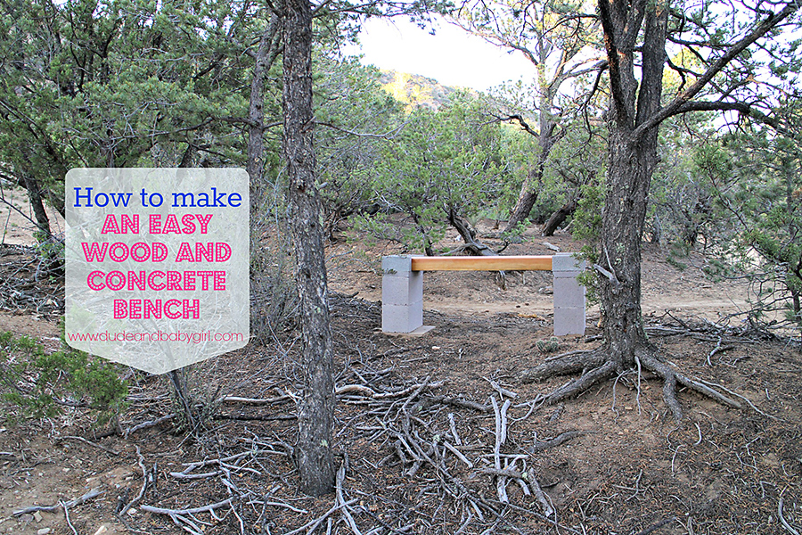 Dude Baby Girl How To Make An Easy Wood And Concrete Bench