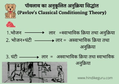 पावलव का अनुकूलित अनुक्रिया सिद्धांत (pavlov theory of classical conditioning in hindi)