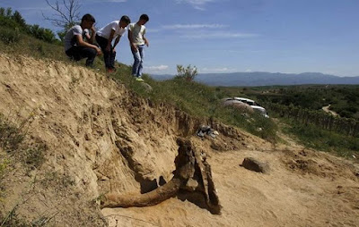 Aπίστευτη ανακάλυψη! Βρέθηκε «γίγαντας» προϊστορικός ελέφαντας 8 εκατομμυρίων ετών στα Σκόπια