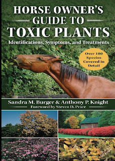 Horse Owner’s Guide to Toxic Plants: Identifications, Symptoms, and Treatments