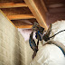 Frozen Pipe Prevention