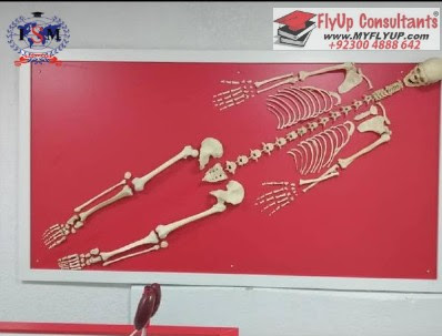 International School of Medicine – ISM Kyrgyzstan, MBBS Fee International School of Medicine – ISM Kyrgyzstan, MBBS Fee