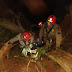 Homem morre após trator cair em buraco de 120 metros de profundidade no Paraná