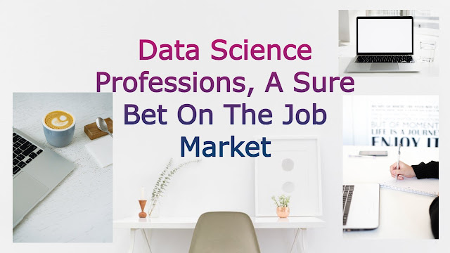 Data Science Professions