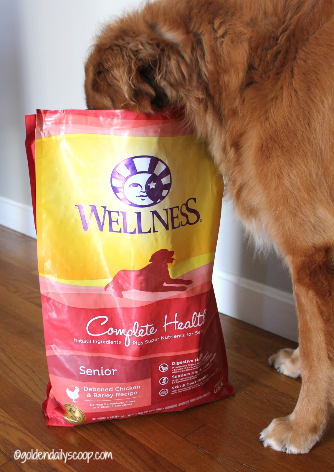Let Your Dog Shine with the Wellness Difference wellnesspet ad
