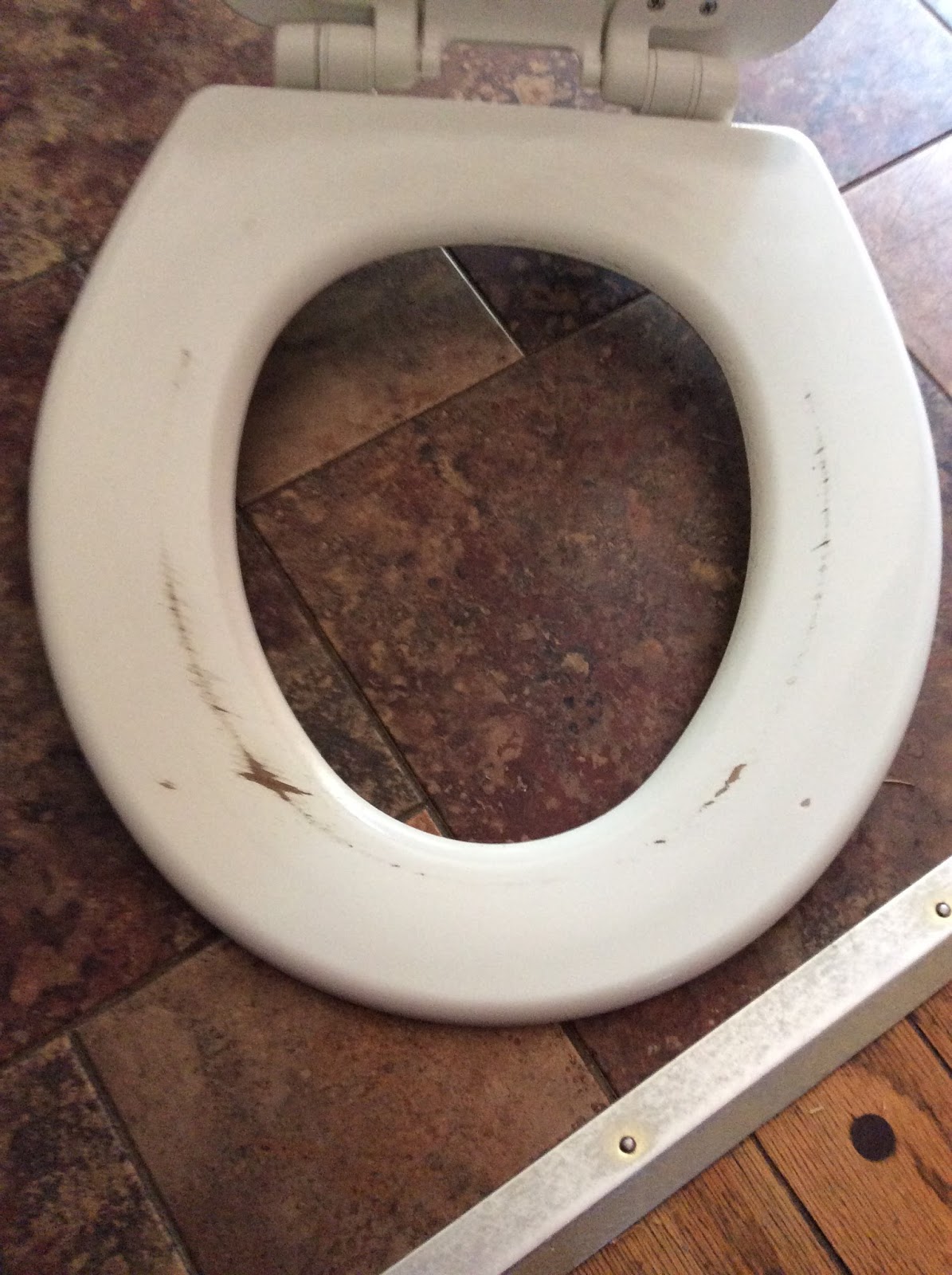 Myrrhmade Cleaner Looking Commode Painting a toilet seat