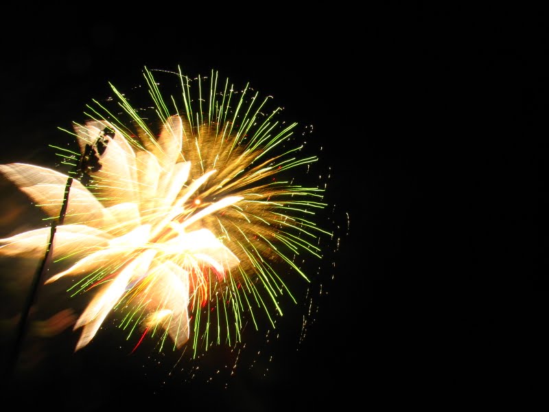 Fireworks Laurel 4th of July