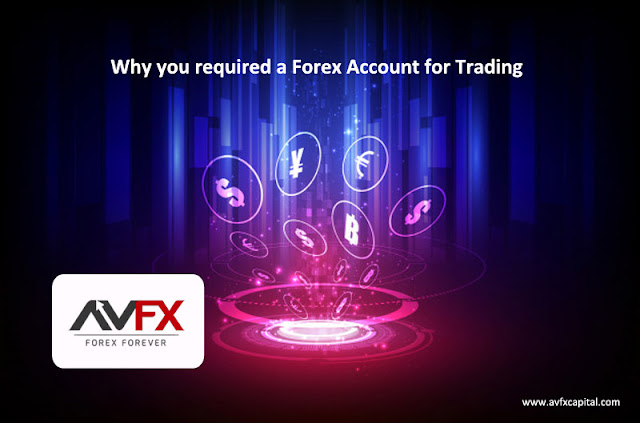 AVFX Trading Accounts Forex Brokers