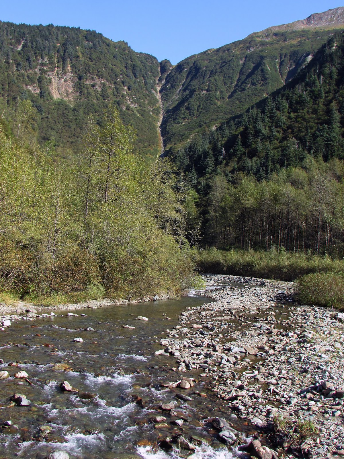 Gold Panning in Juneau
