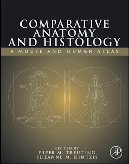 Comparative Anatomy and Histology – A Mouse and Human Atlas Comparative Anatomy and Histology – A Mouse and Human Atlas
