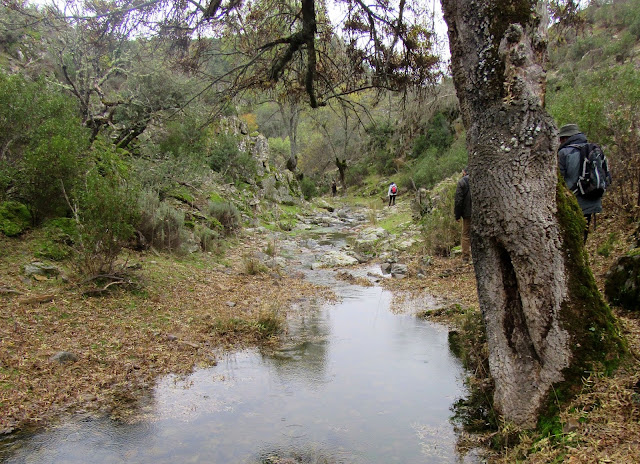 Sendero de Gargantilla. Parque Nacional de Cabañeros