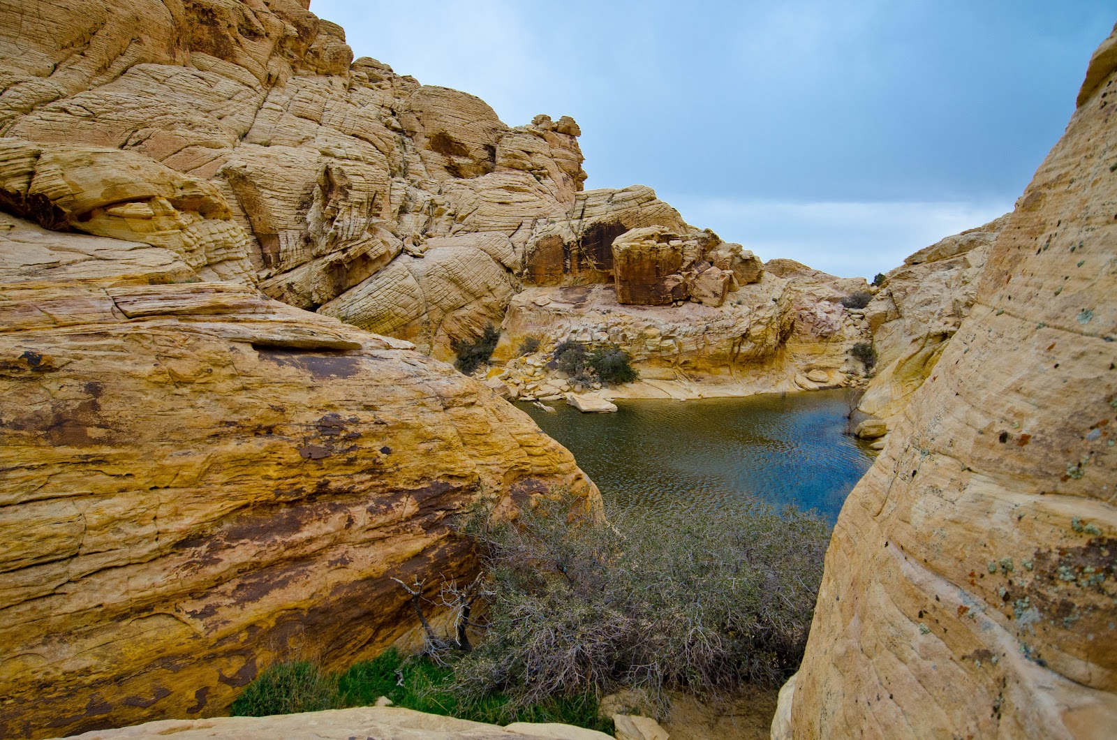 Shot of the Day Red Rocks Pool Las Vegas