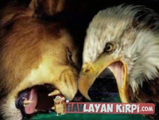 galatasaray fenerbahçe bugünkü maçı izle