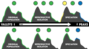 Education Care: Urdu Summaries , English Literature, Admissions