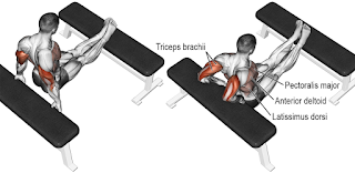 Top 5 Exercises To Build Triceps, Bench Dip