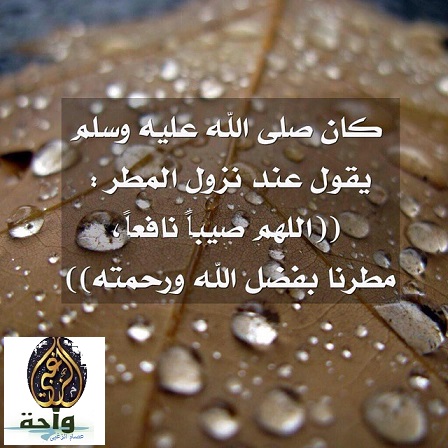 دعاء المطر اللهم صيبا نافعا أفضل ادعية سقوط المطر واحة الزغبى