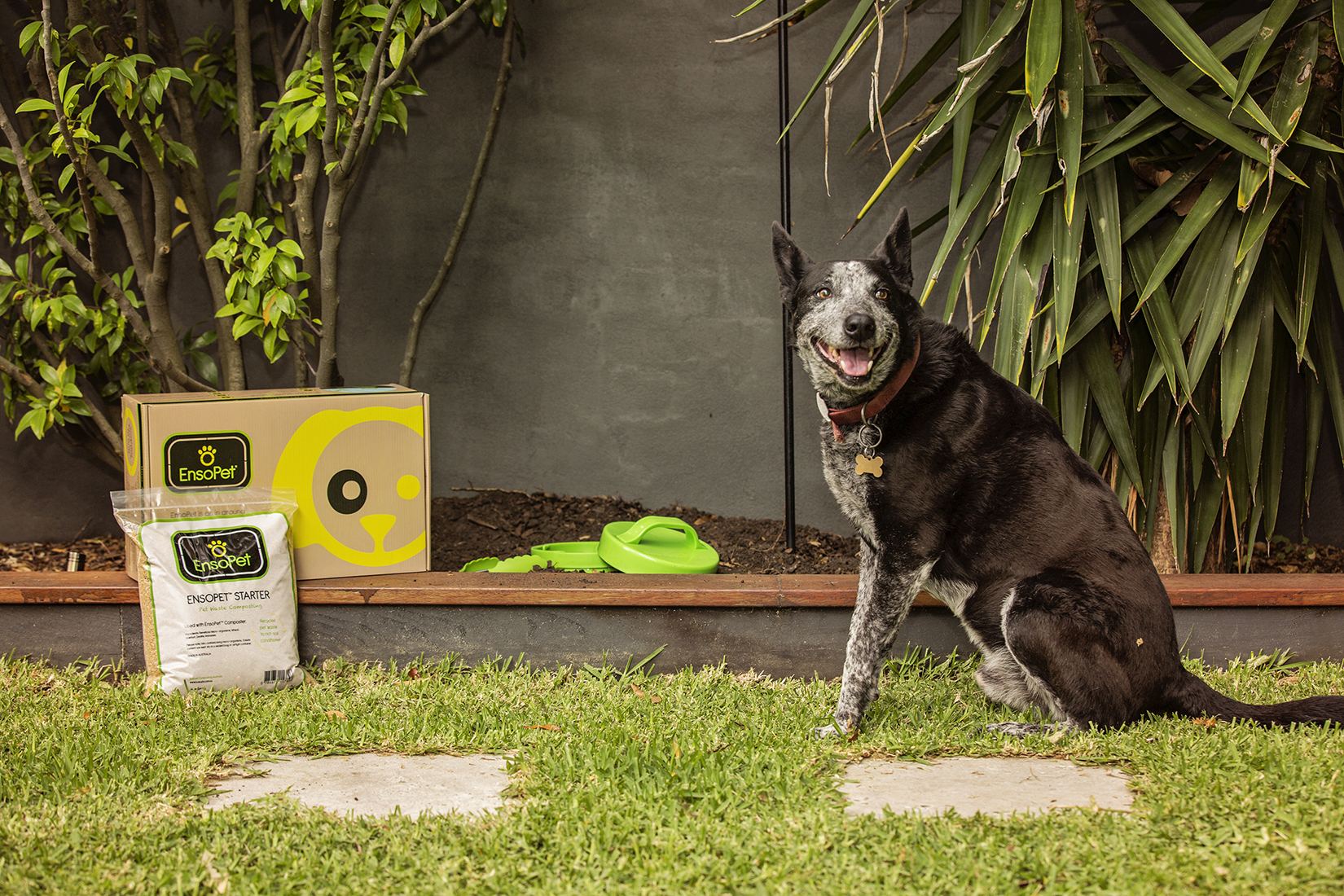 15 Sustainable Pet Brands for Dog Lovers Australian Dog Lover
